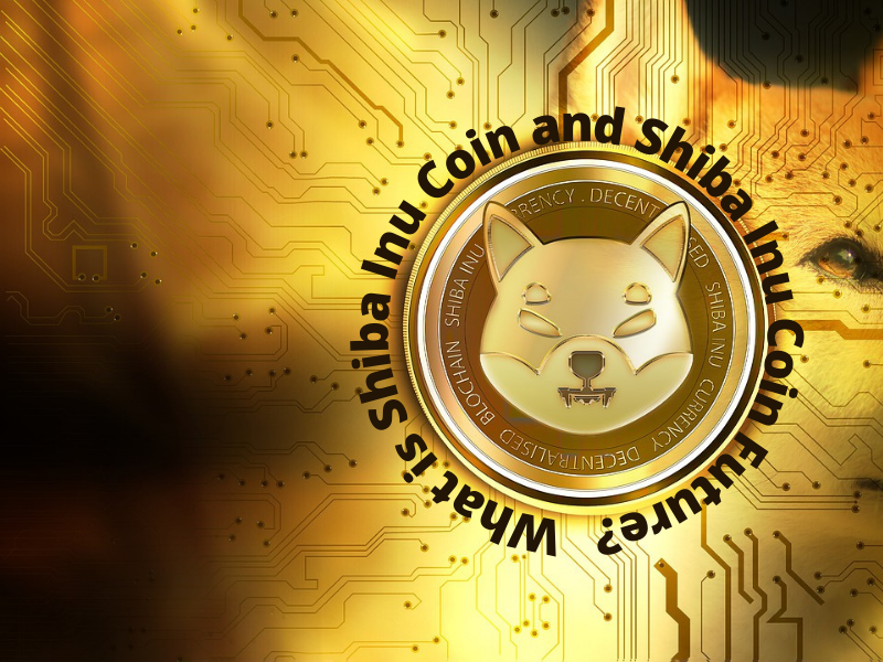 What is Shiba Inu Coin and Shiba Inu Coin Future?